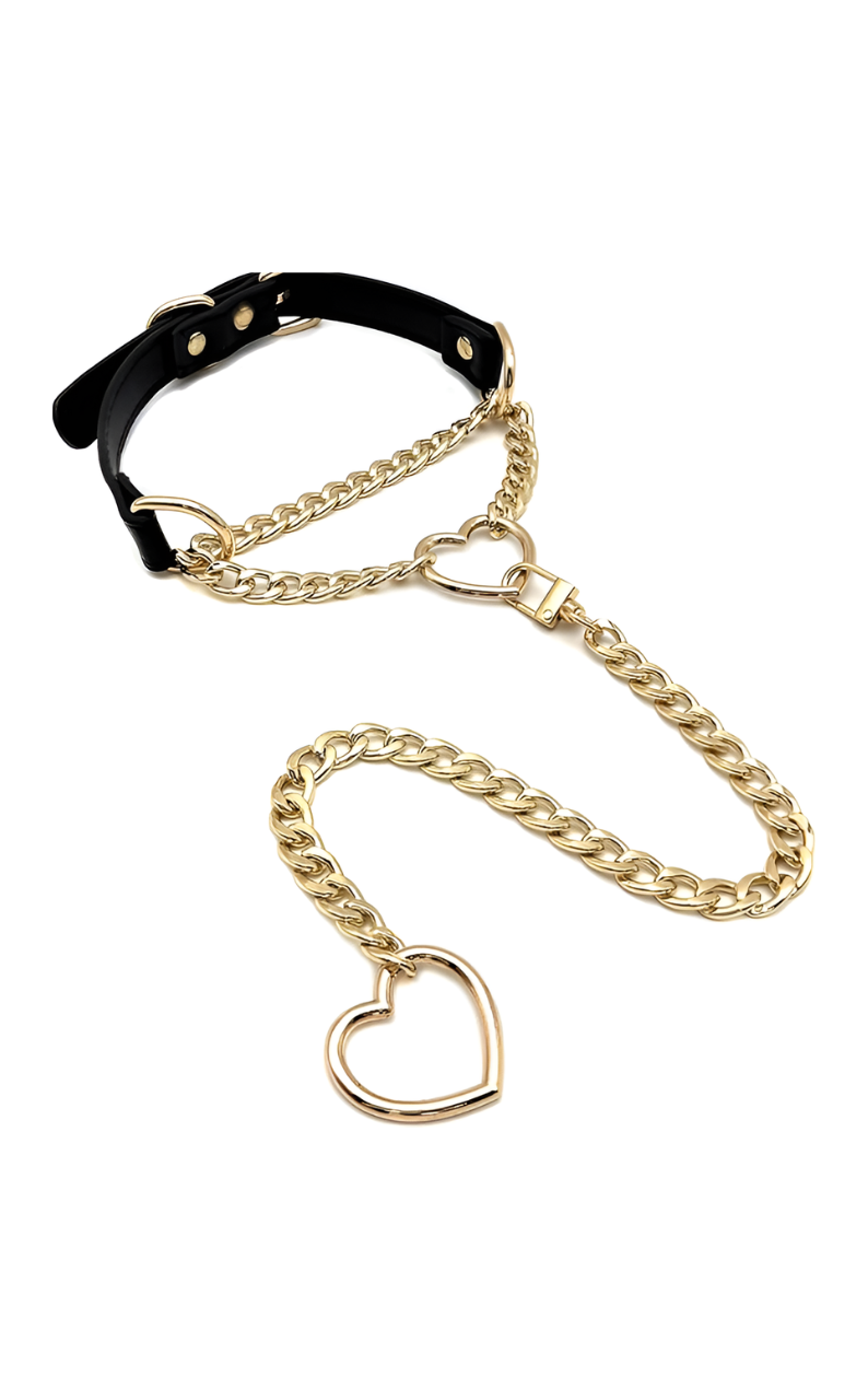 LoveChains™ - Swivel Clasp Leather Choker Collar