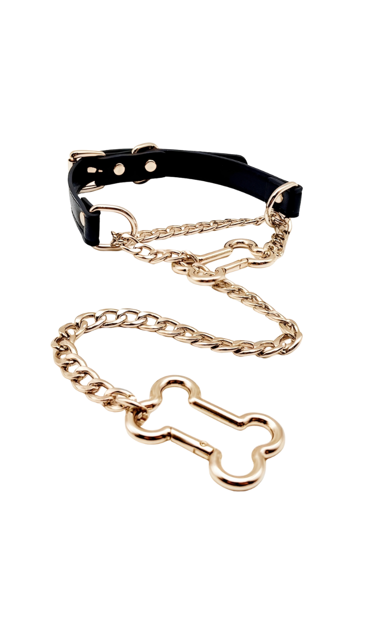 LoveChains™ - Bone Slip Chain Leather Choker Collar